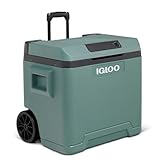 IGLOO IE42 Frigo Elettrico, 12V e 230V, 42L – Mini Frigorifero Compatto per Auto, Campeggio,...